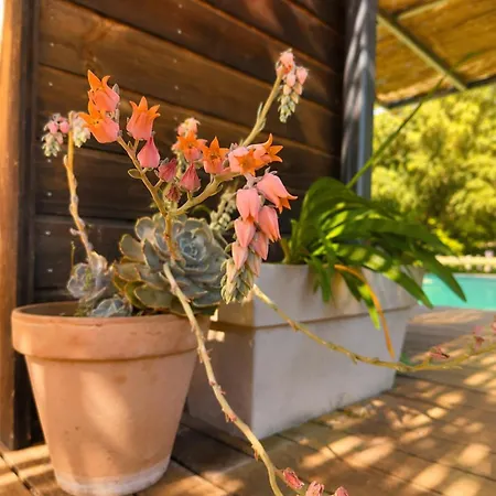 Mediterranean House Private Pool Ac Garden Aubais